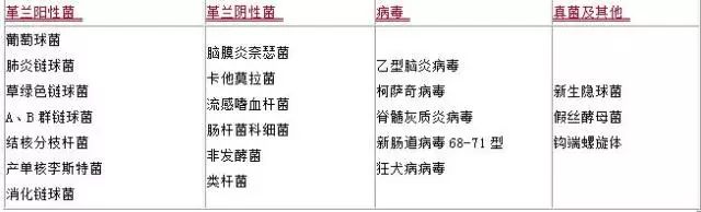 中枢神经系统感染.jpg