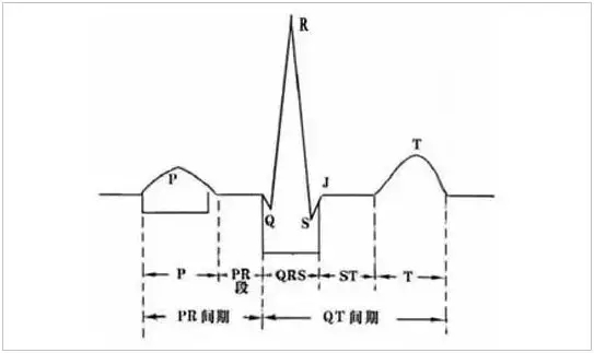 心电学技术重点.jpg