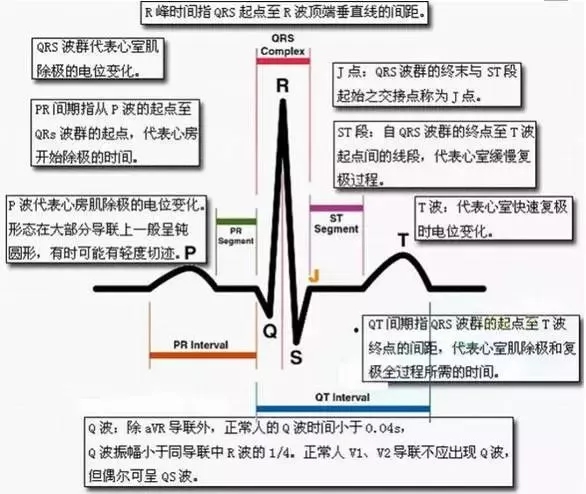 心电学技术重点.jpg